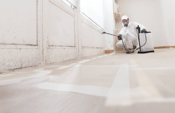 24/7 Emergency Mold Inspection experts in Plainview, TX