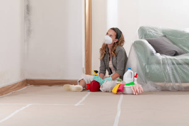 Reliable Mold Inspection contractor in Plainview, TX by WQB Mold Removal